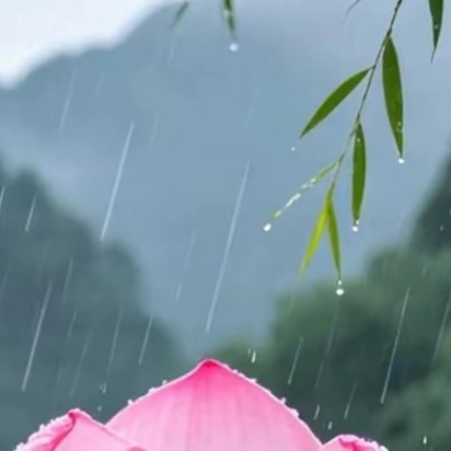 善良和爱都是免费的，但不是廉价的，你的善良，需要带点锋芒，你的爱，需要带些理智，