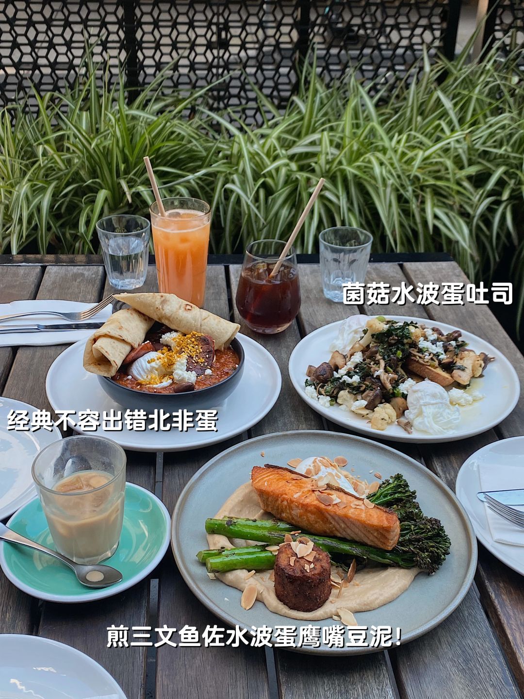 墨尔本｜一石二鸟｜白月光brunch超好吃新菜