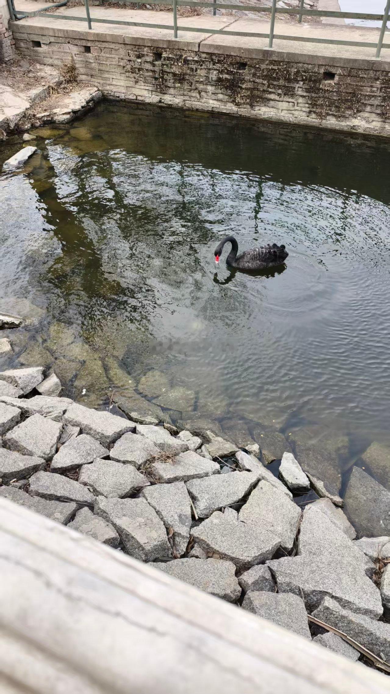 今天的天气真的好到让人精神抖擞、早上喜欢去公园、开阔的空地走上一圈，尤其是这种天