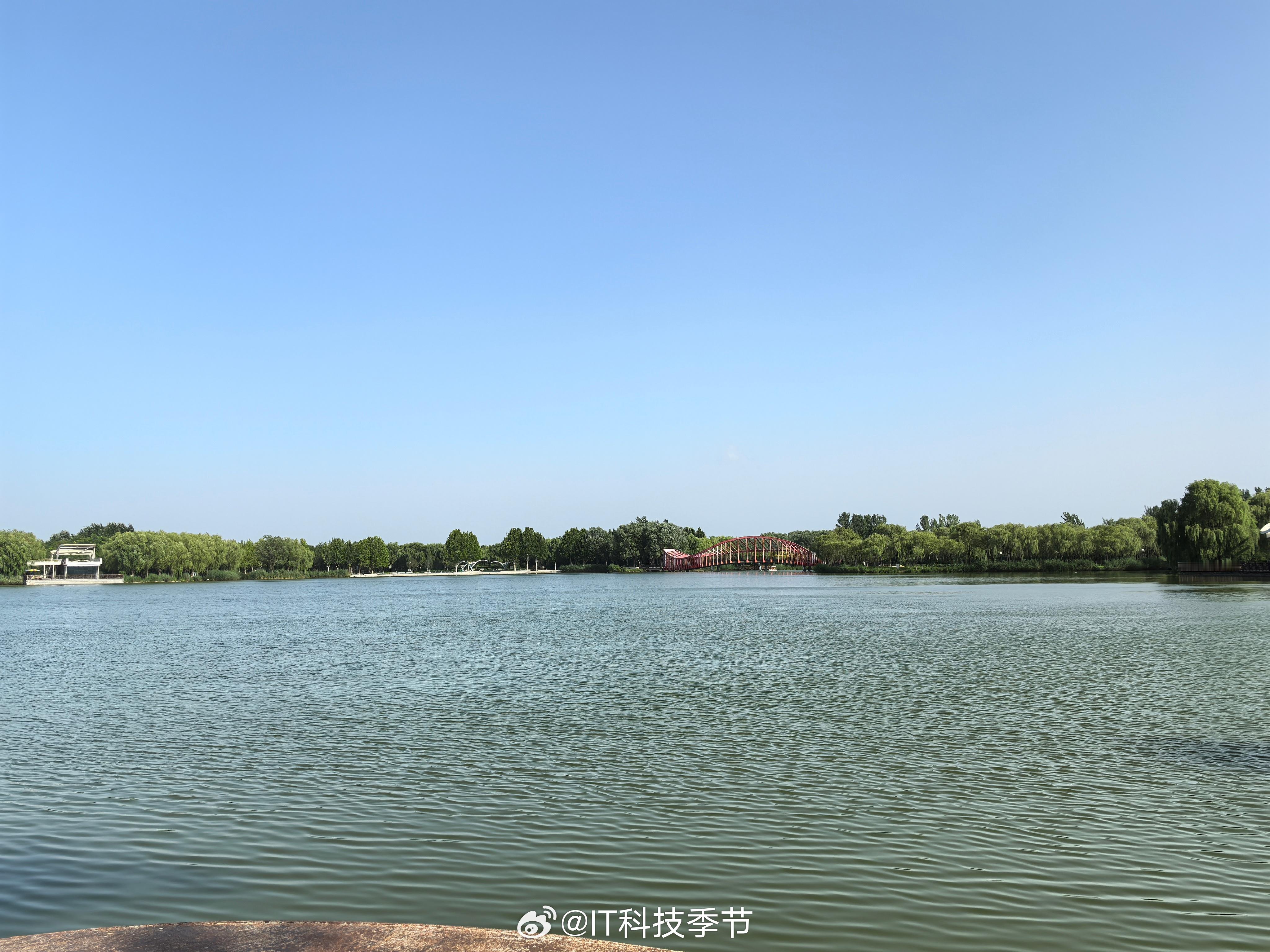 今天是河边的老司机[二哈]续航测试不管夺不夺冠，反正第一个跑完[笑cry]主打一