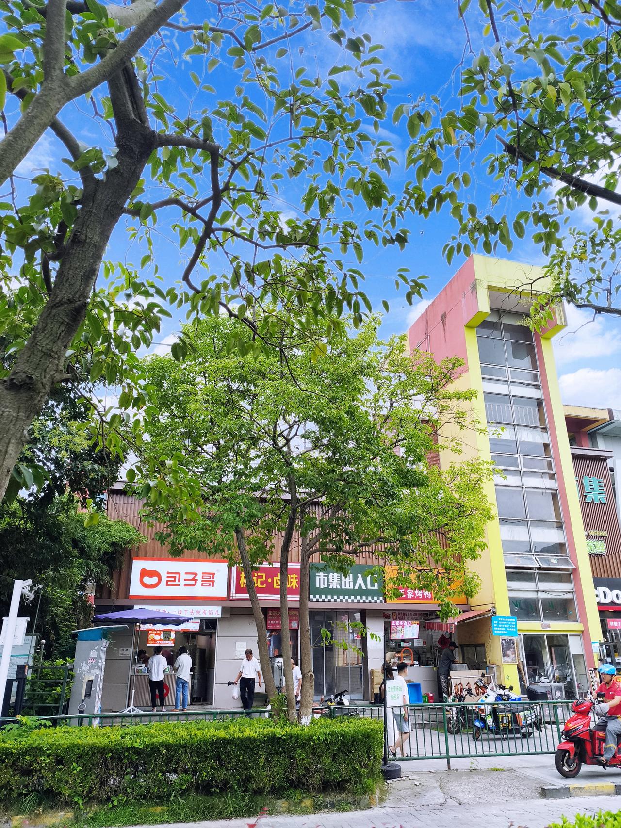 南京的高温黄色预警终于解除啦！之前出门五分钟流汗一小时的“烧烤”模式可算要缓解了