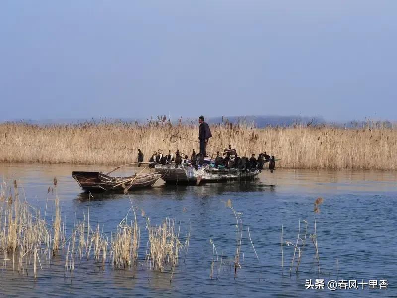 山东济宁的微山县，堪称“散装”界的典型。它是1953年为管微山湖，从周边多地“割