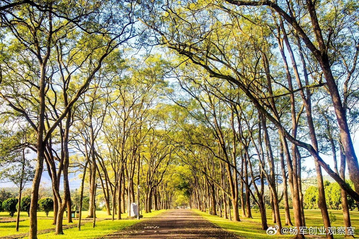 有人投钱，我就干一把，我自己是不会掏钱的很多创业者，总把融资当唯一出路。真相是：