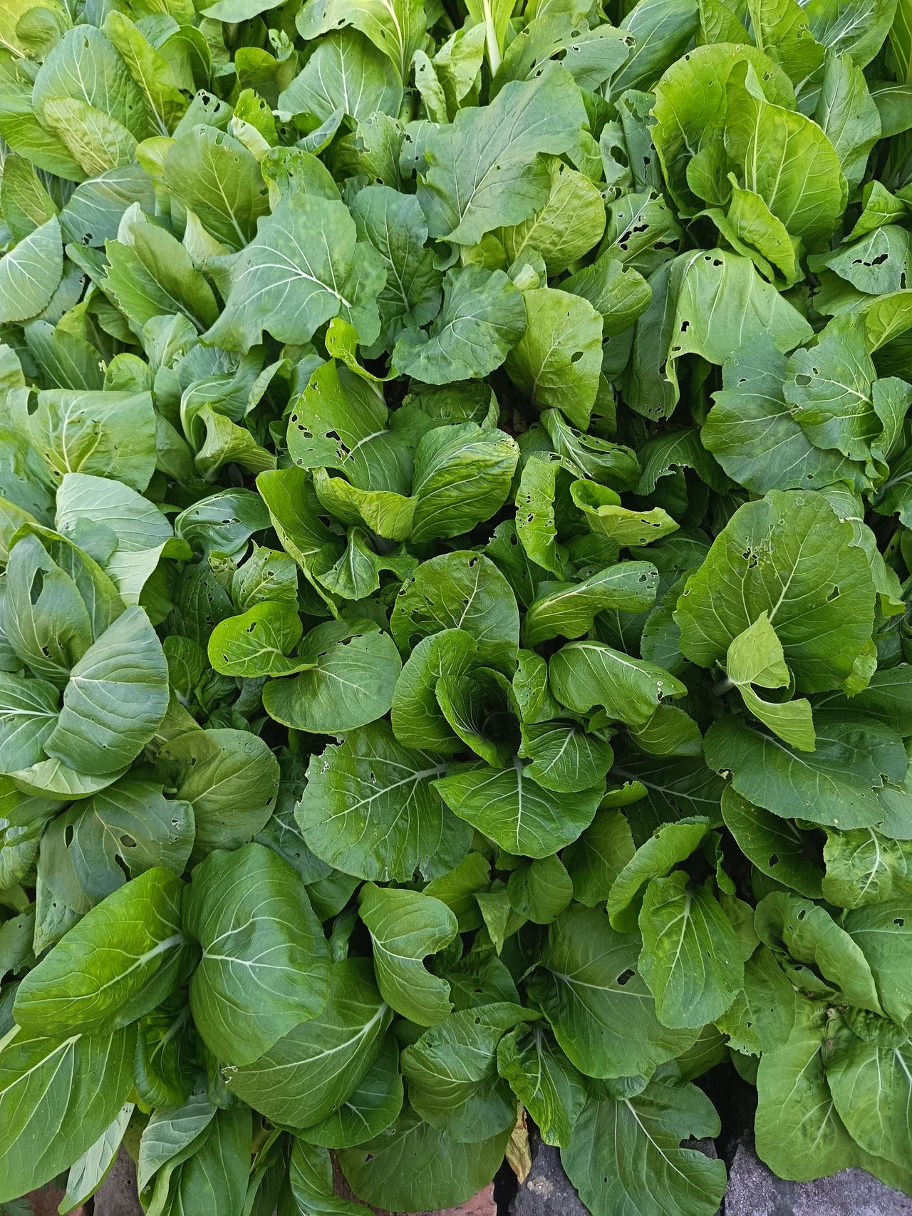 我有一老同学，前段时间同学聚会他还参加了呢。就在前天，我打电话约他，准备告诉他这