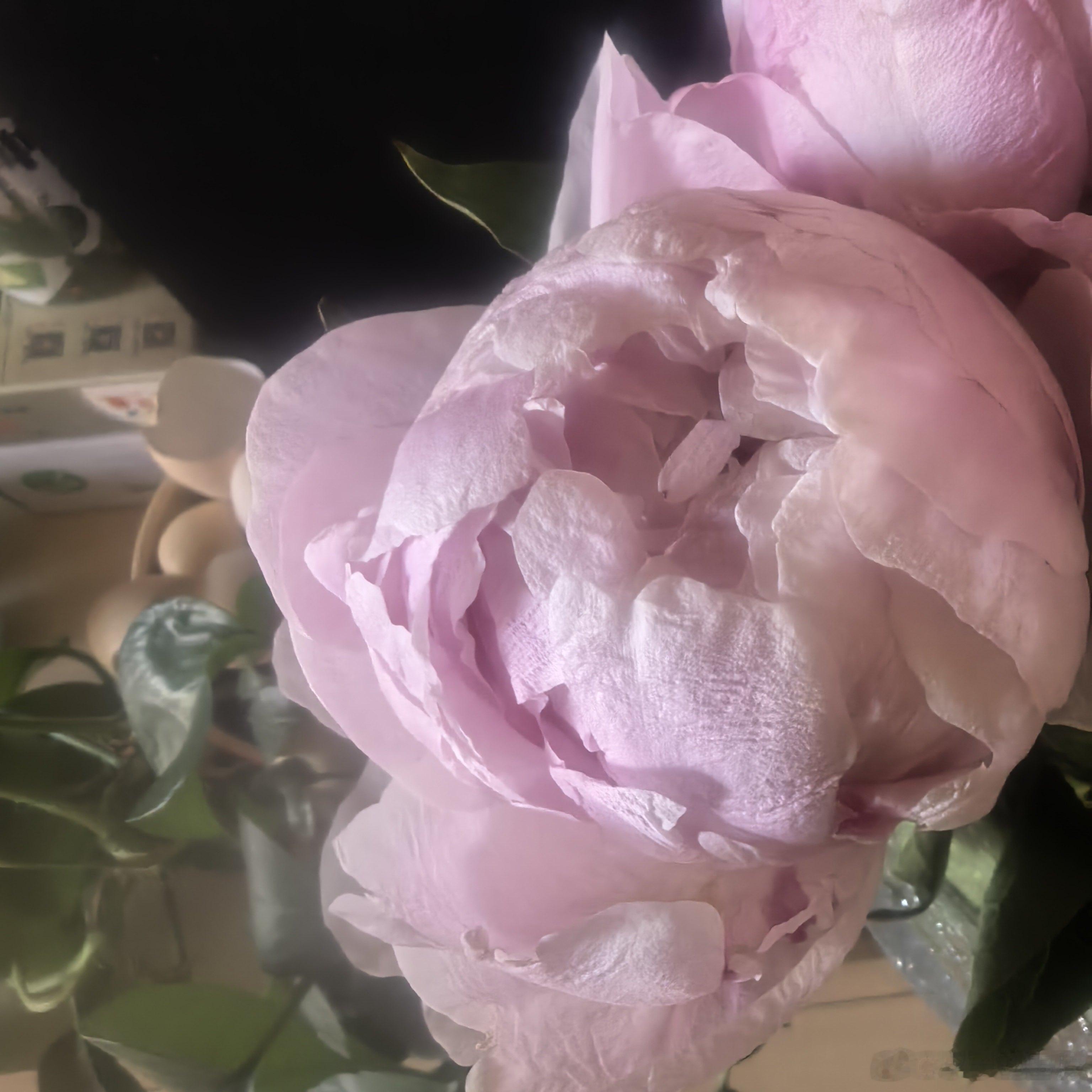 买了把芍药花。 