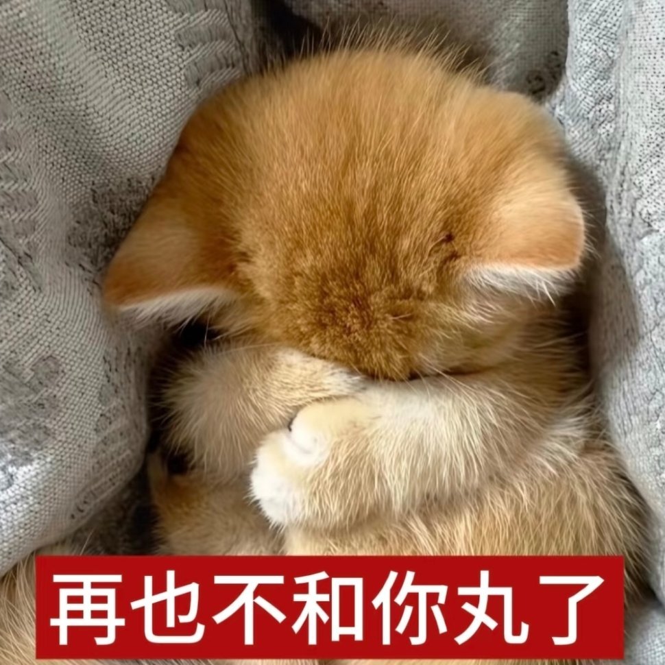 大眼 你待我好差 绝交！ 