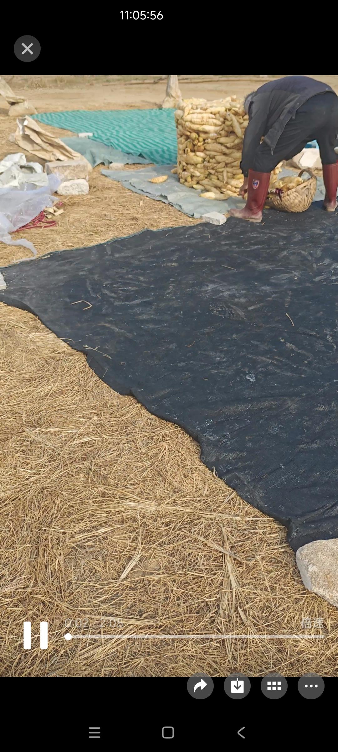 15天给你1500块钱你干不干？

遇到一个晒萝卜干的老大爷。

问他这堆萝卜能