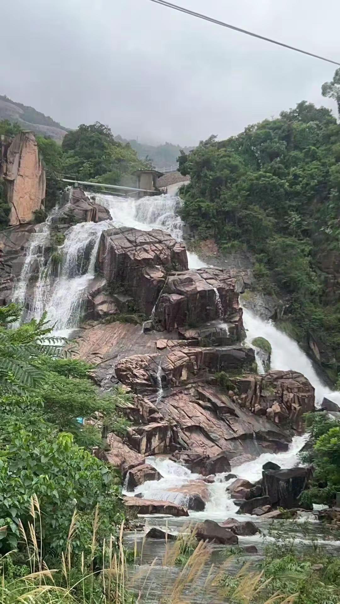 蔡文德下山选段 蔡文德下山婺剧 婺剧文化传承 弘扬戏曲文化你我同行 青年戏曲文化