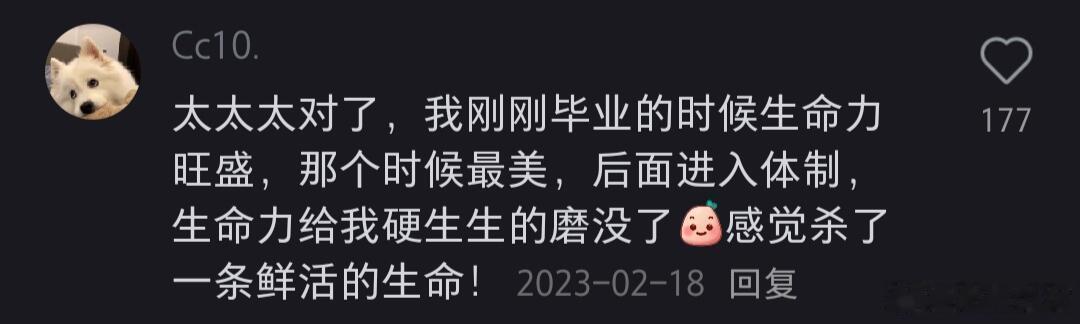 原来装扮欲就是生命力的表现 