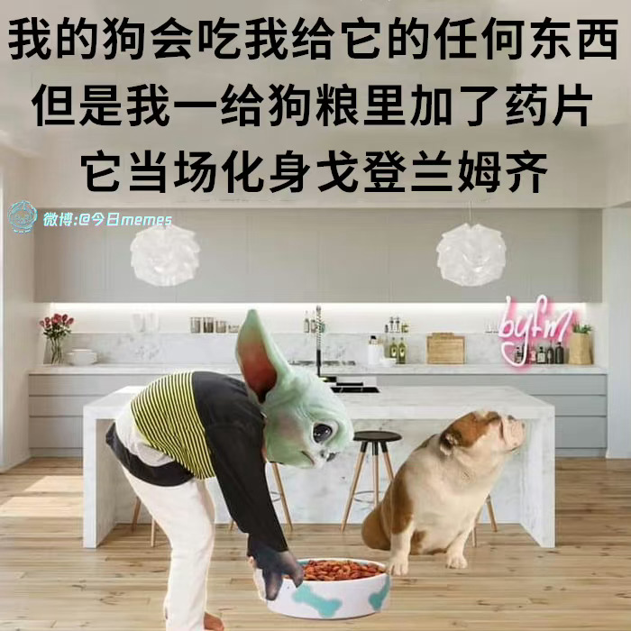 【1320号来信】🐠和🐶的日常 ​​​