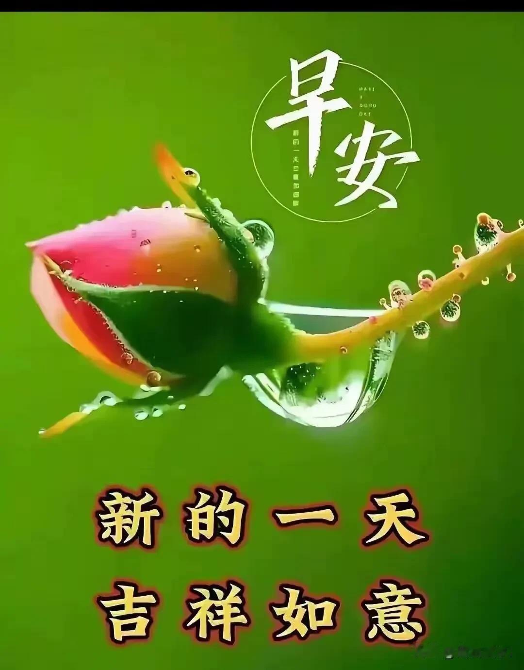 日出有盼，朝夕有喜，清晨安好。