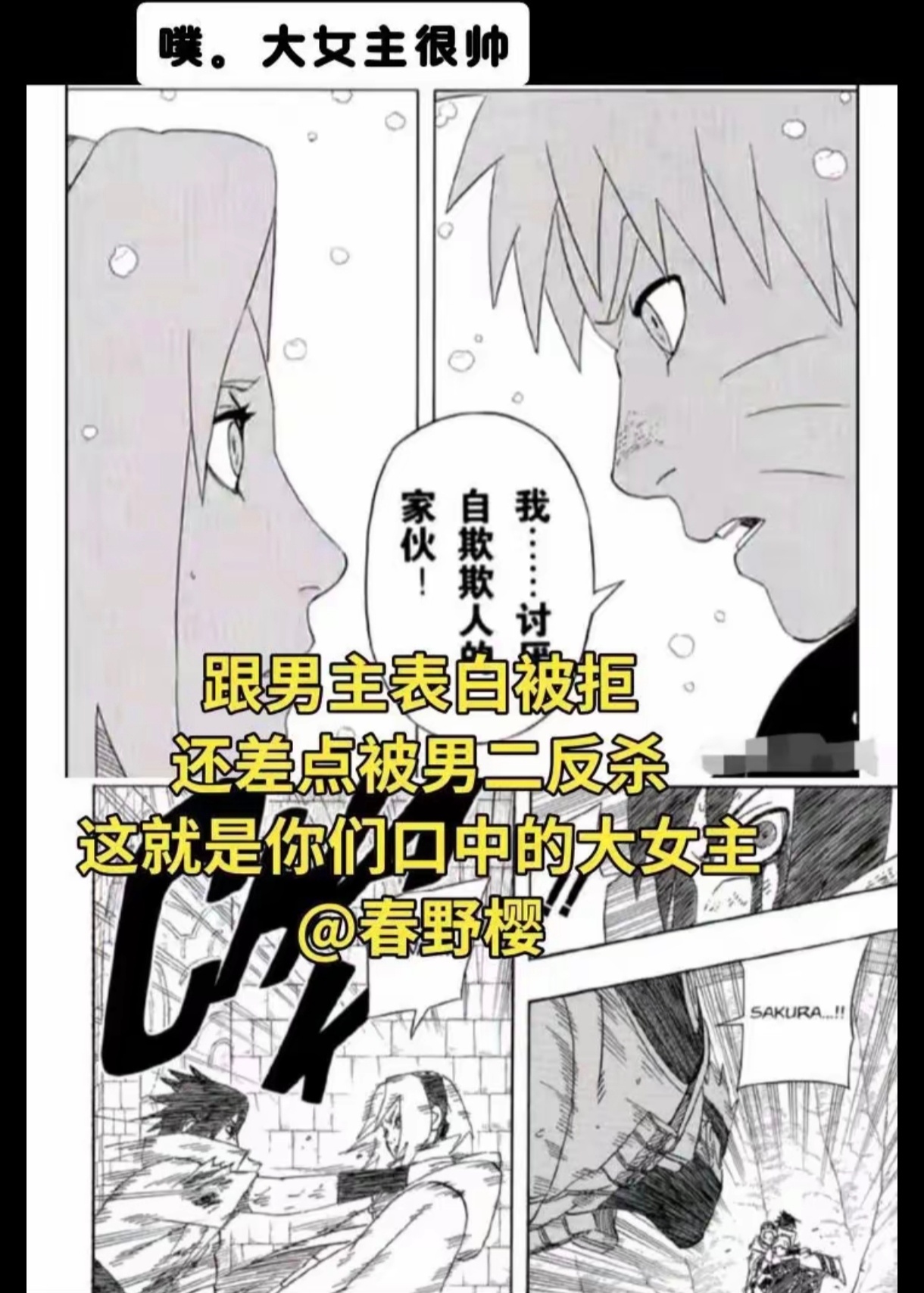 大概就是大女主吧 