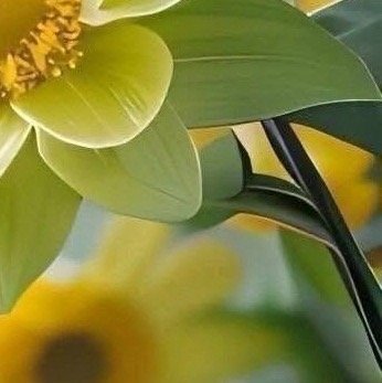 阳光信用 🍓 阳光信用🍓 每日一善 要守信，一旦承诺友人，就要言而有信。这就