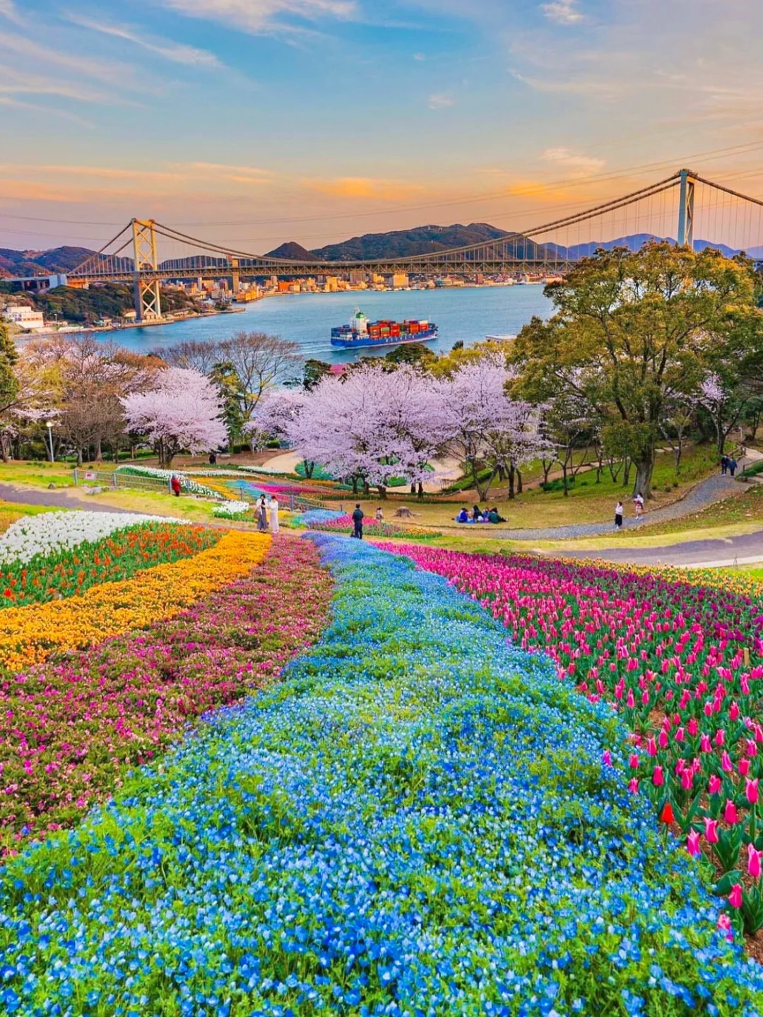日本绝美山顶花海公园💐俯瞰蔚蓝濑户内海