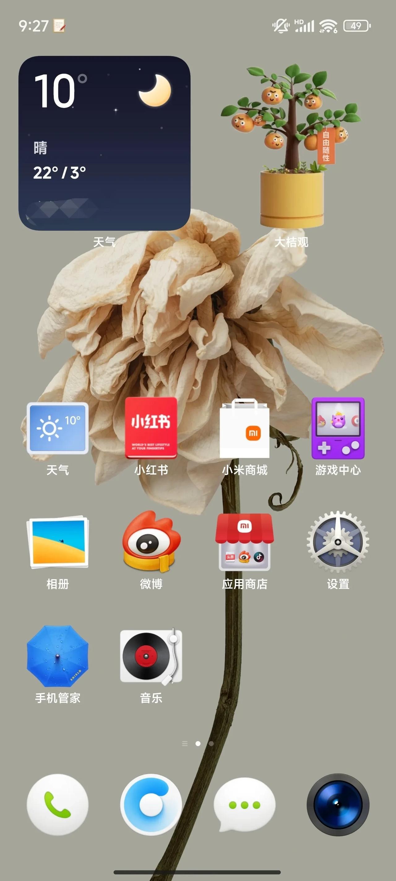 我们欠罗老师一声道歉。#小米14# 澎湃OS用上锤子OS的那套图标，放到今天看丝