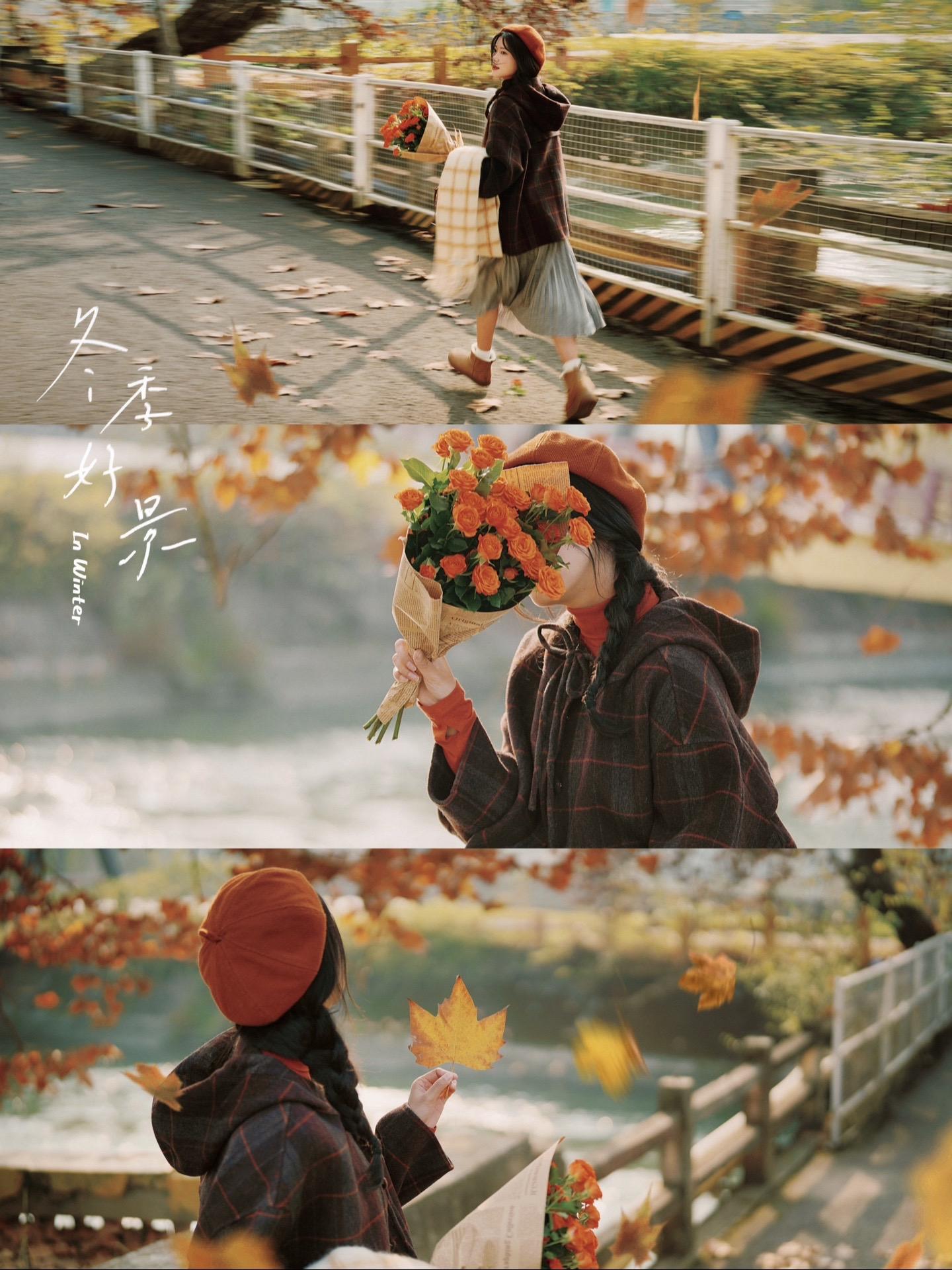 储存冬日记忆🍁是拍落叶的季节呀。秋冬记忆存档 🍁