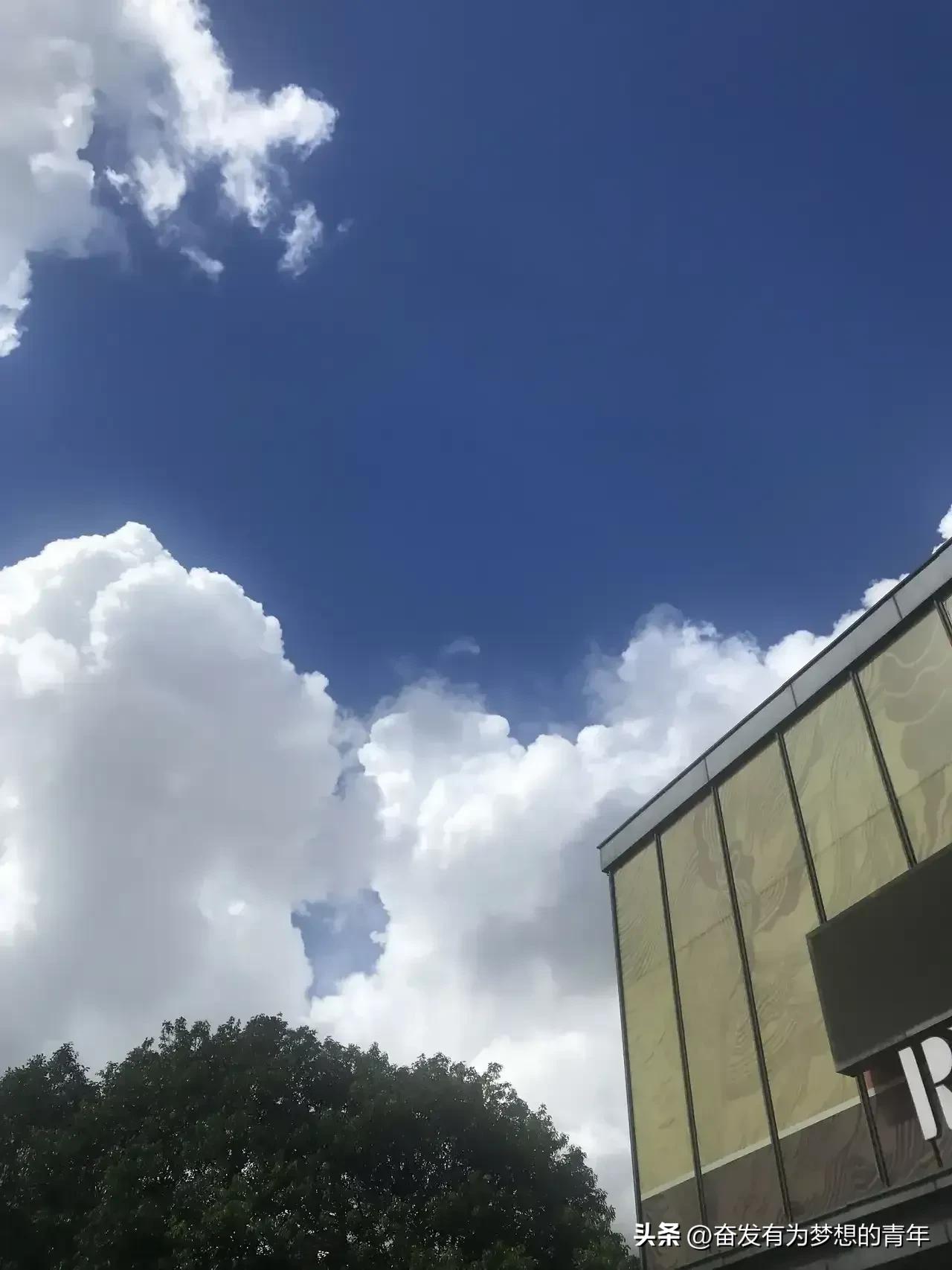 最近突然发现了一个奇怪的现象，不管是南方人，还是北方人，也无论城里人，还是农村人