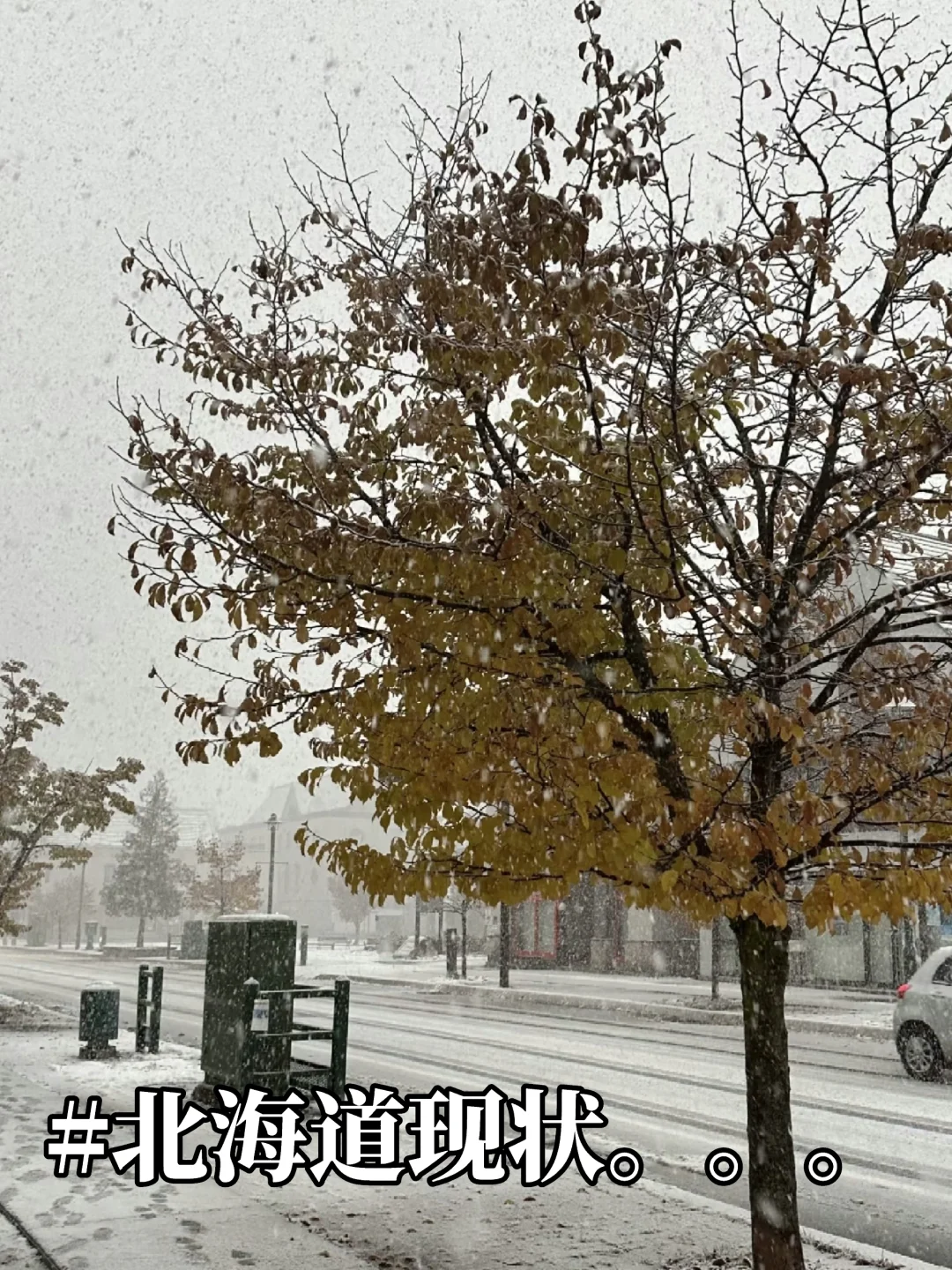 实话难听，但这就是北海道旺季旅游现状。。