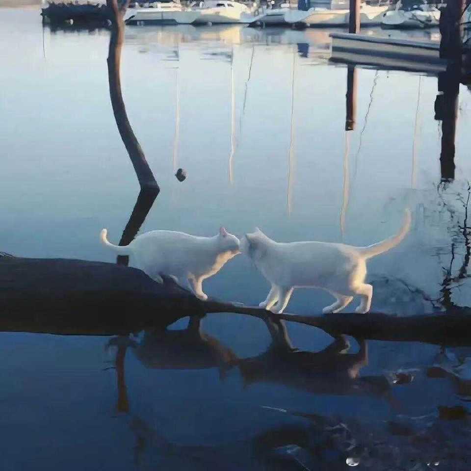 每日一善  阳光信用 这个世界上，最不会被辜负的，就是努力的自己，你的每一份付出