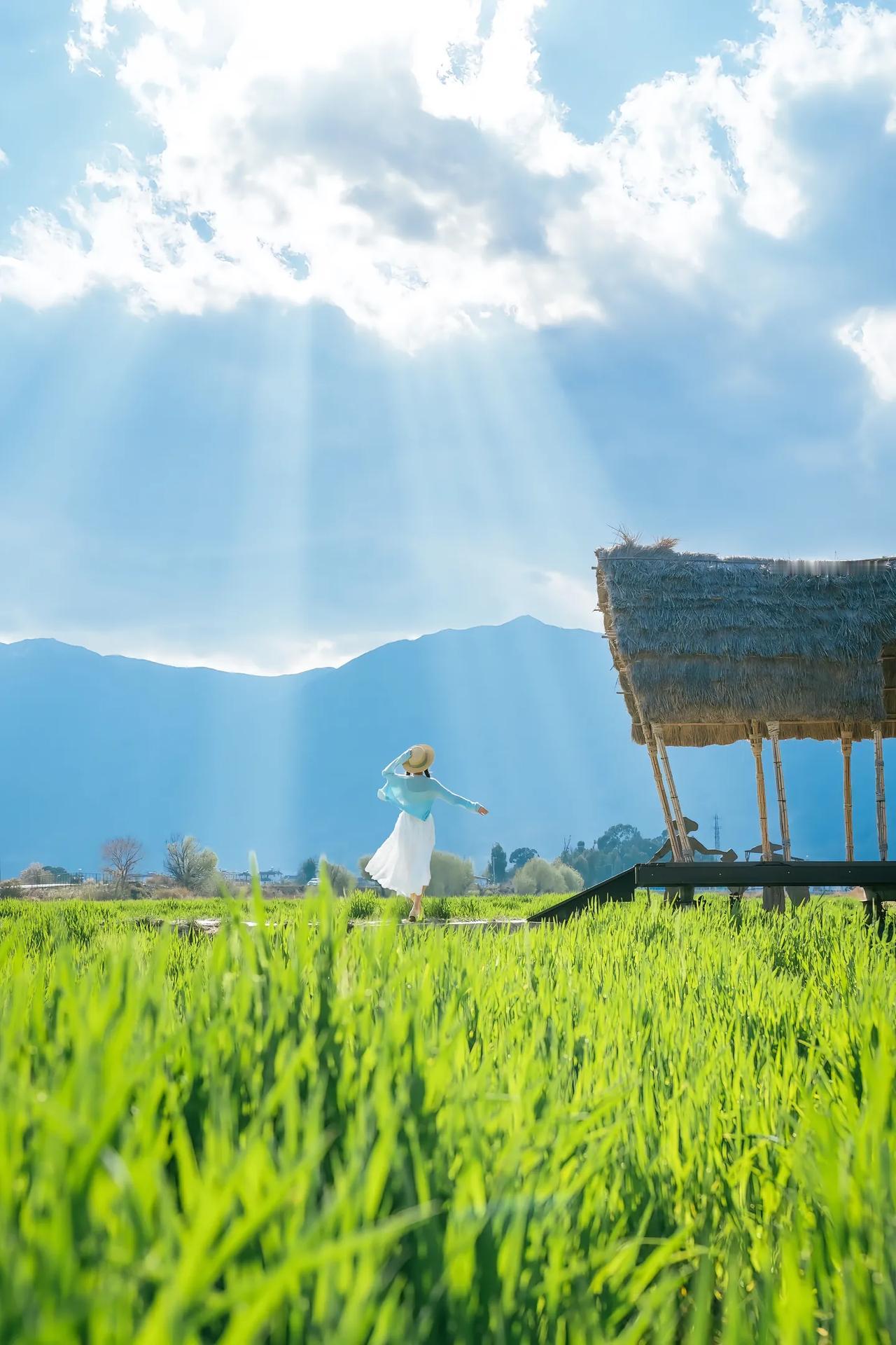 和一位初三学生的家长聊天，他家孩子马上就要进行一模考试了。
南京市一般不组织全市