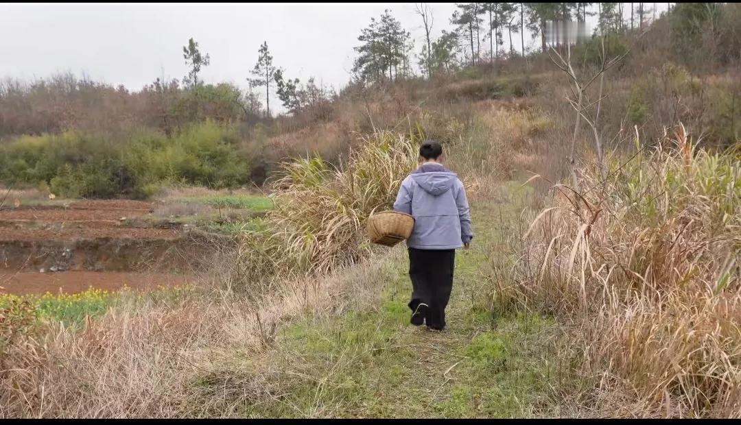 在抖音上看到一句话：如果不知道该怎么活时，可以多去山里走走

所谓动则开运，而山
