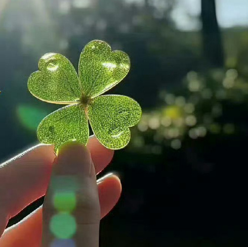 首页刷到四叶草 不要无视 超灵的🙏 ​​​