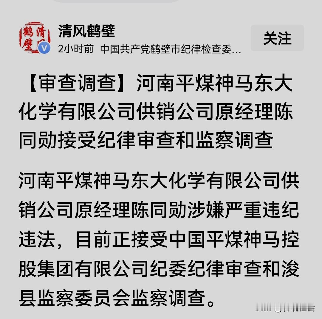 河南平煤神马东大化学有限公司供销公司原经理陈同勋，官不大，最多是大型国企的科级干