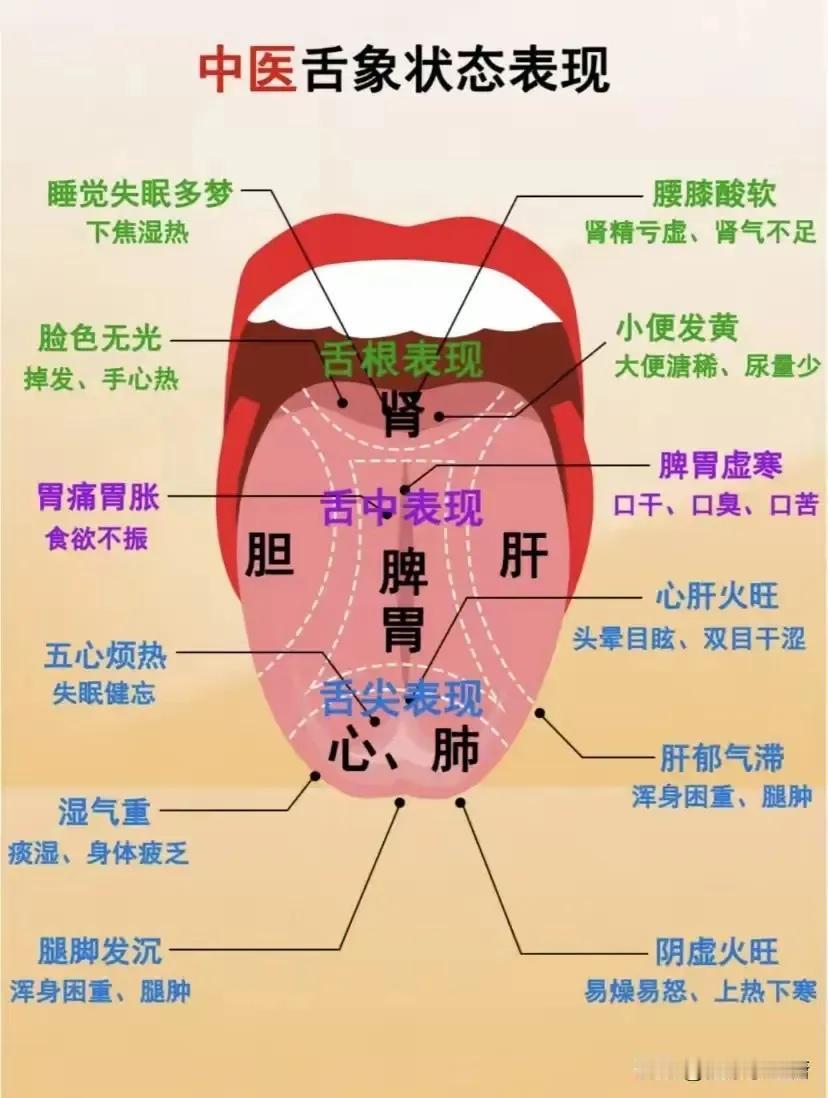 你知道吗？中医舌诊竟能透露身体秘密！今天，就让我们一起学习几个真实的中医舌诊案例