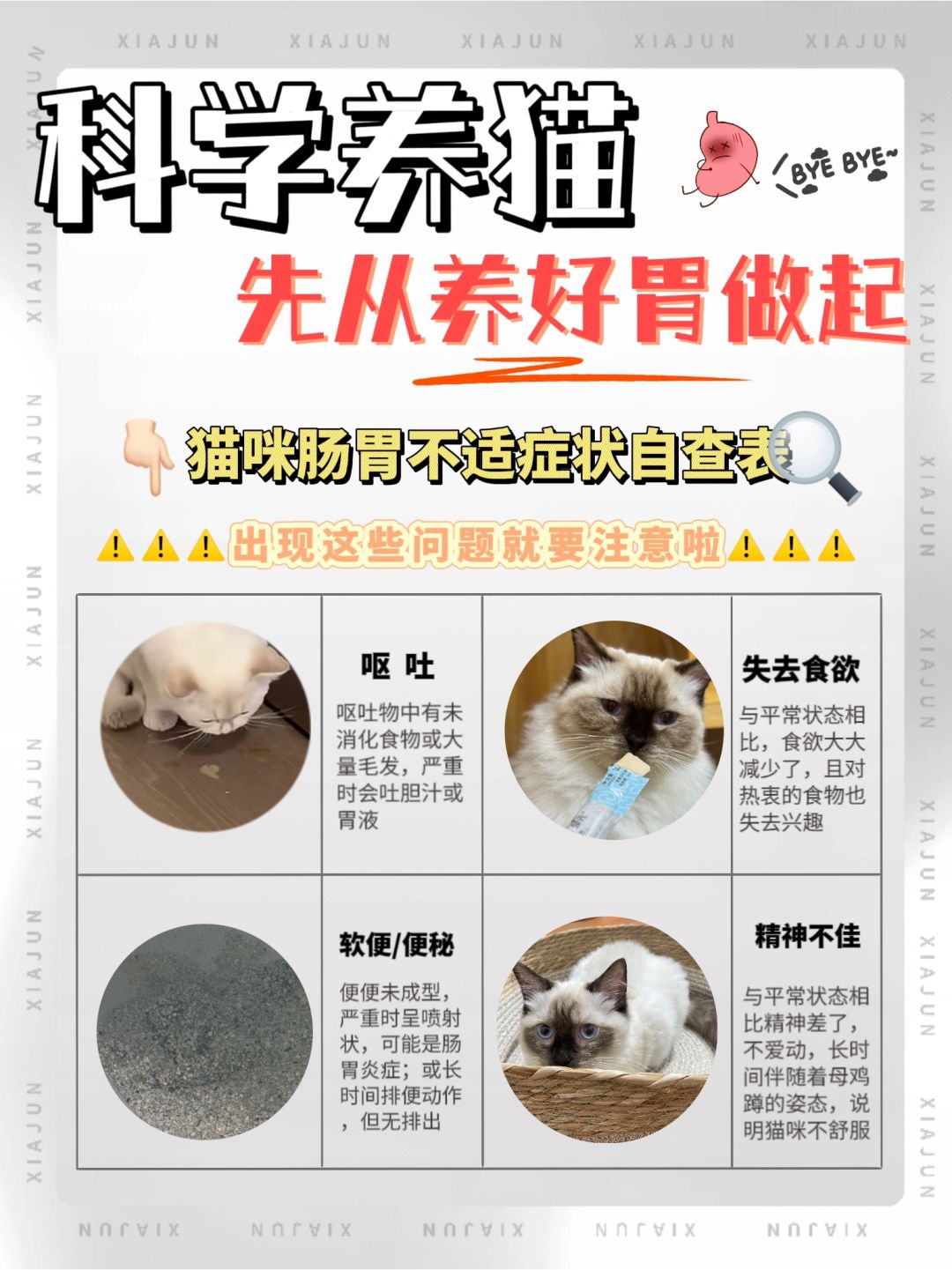 科学养猫先从养好胃做起❗❗