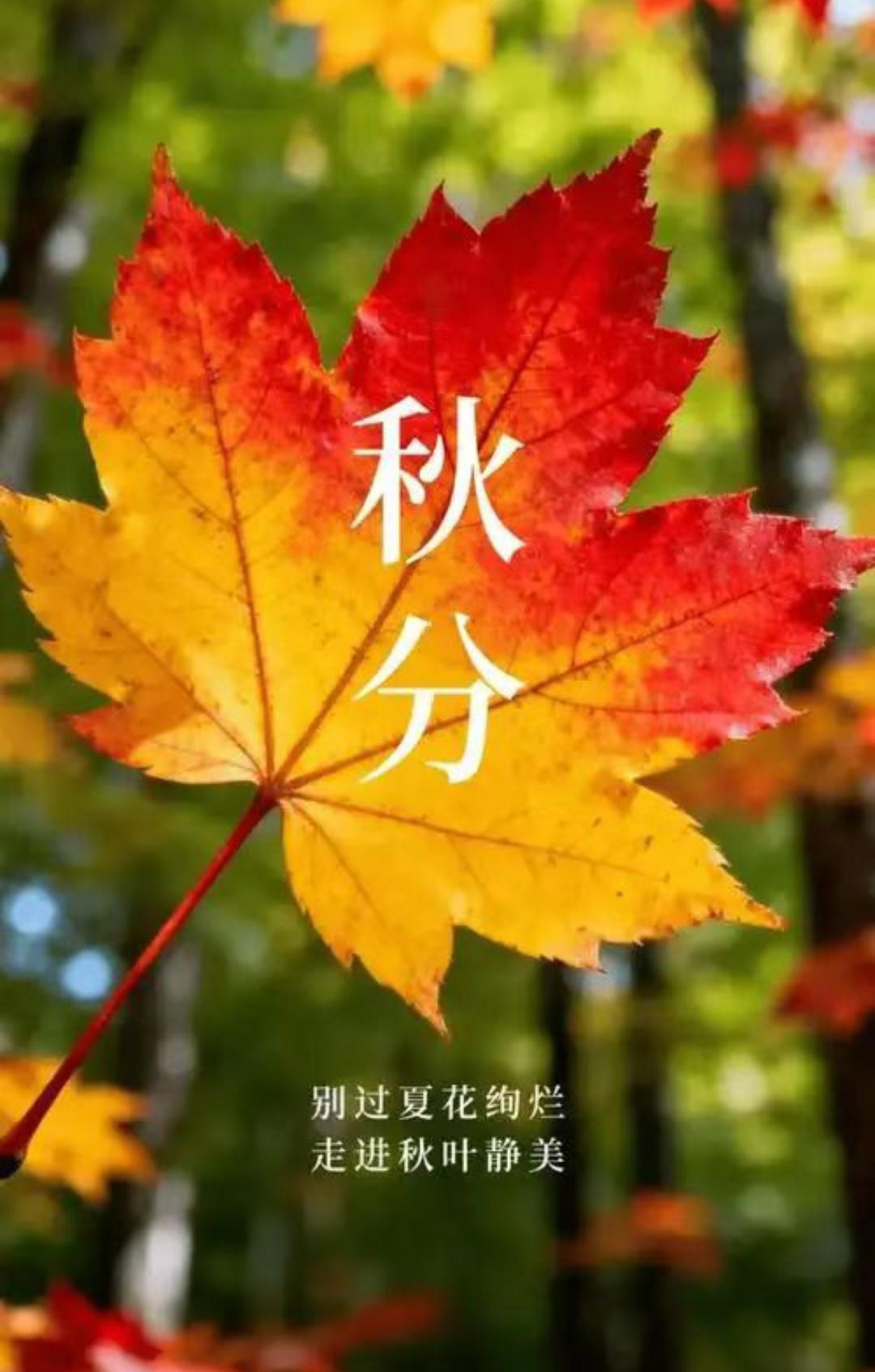 今日秋分