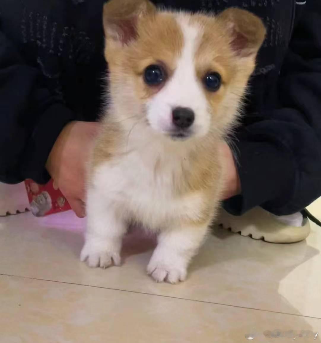 短短小时候 ​​​