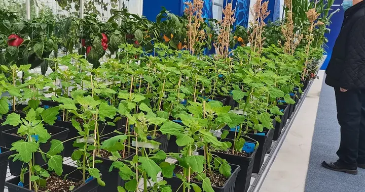 八位院士现场见证，植物基因编辑公共技术平台启航