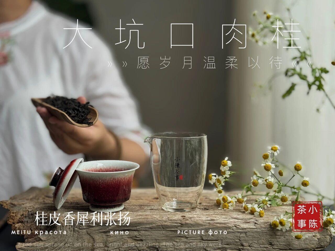 喝茶5不贪，越喝越健康
①不贪凉
冷泡茶、冷萃茶，偶尔喝一喝可以，但不要频繁喝。