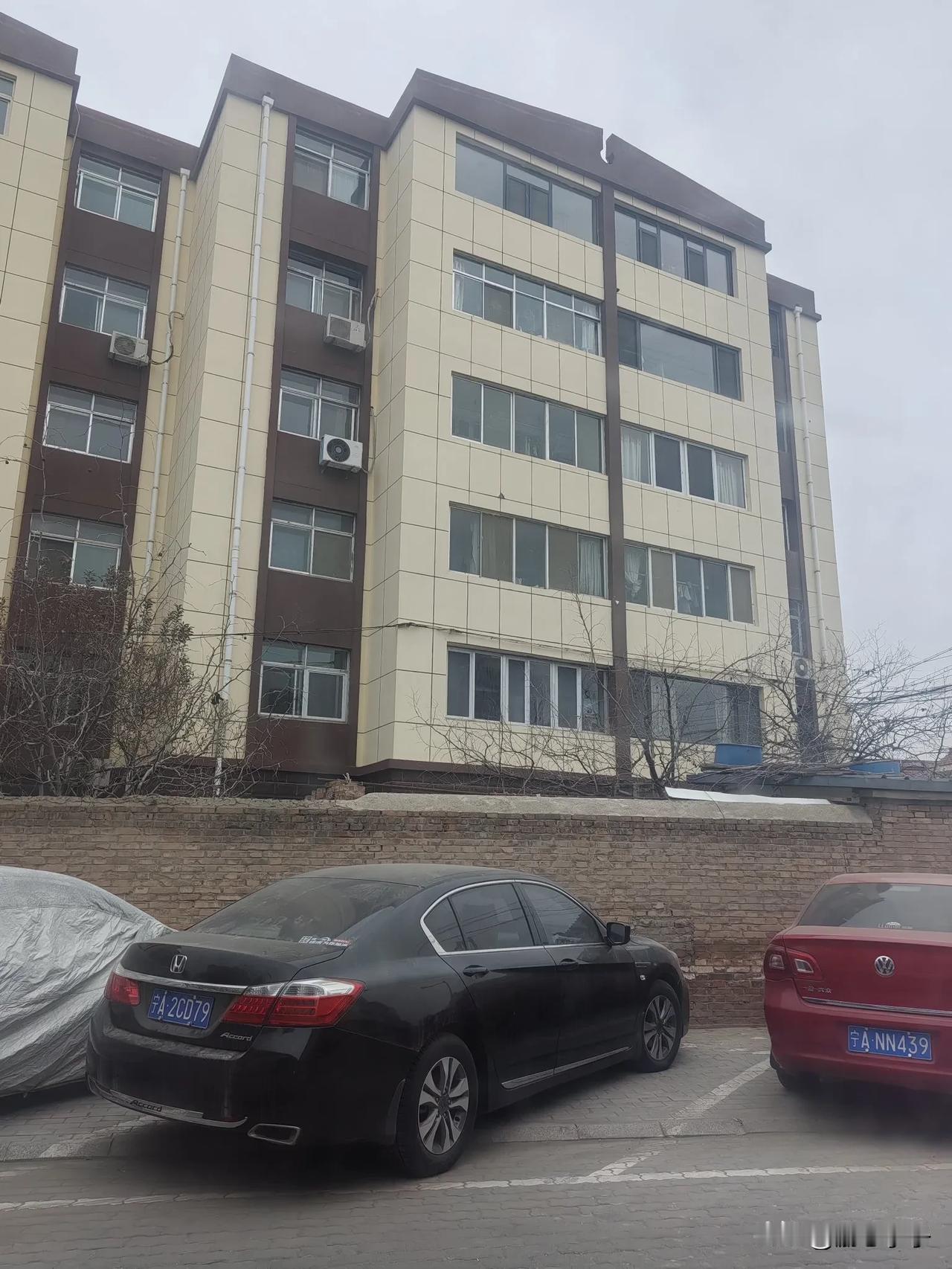 20241223行走日记1  攀壁猫，一个普通老旧小区，怎么和刚才在银川阅海湾云