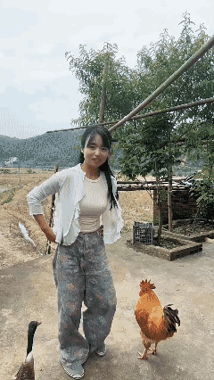 能把鸡鸭训练到这种程度也真挺厉害的了！👍