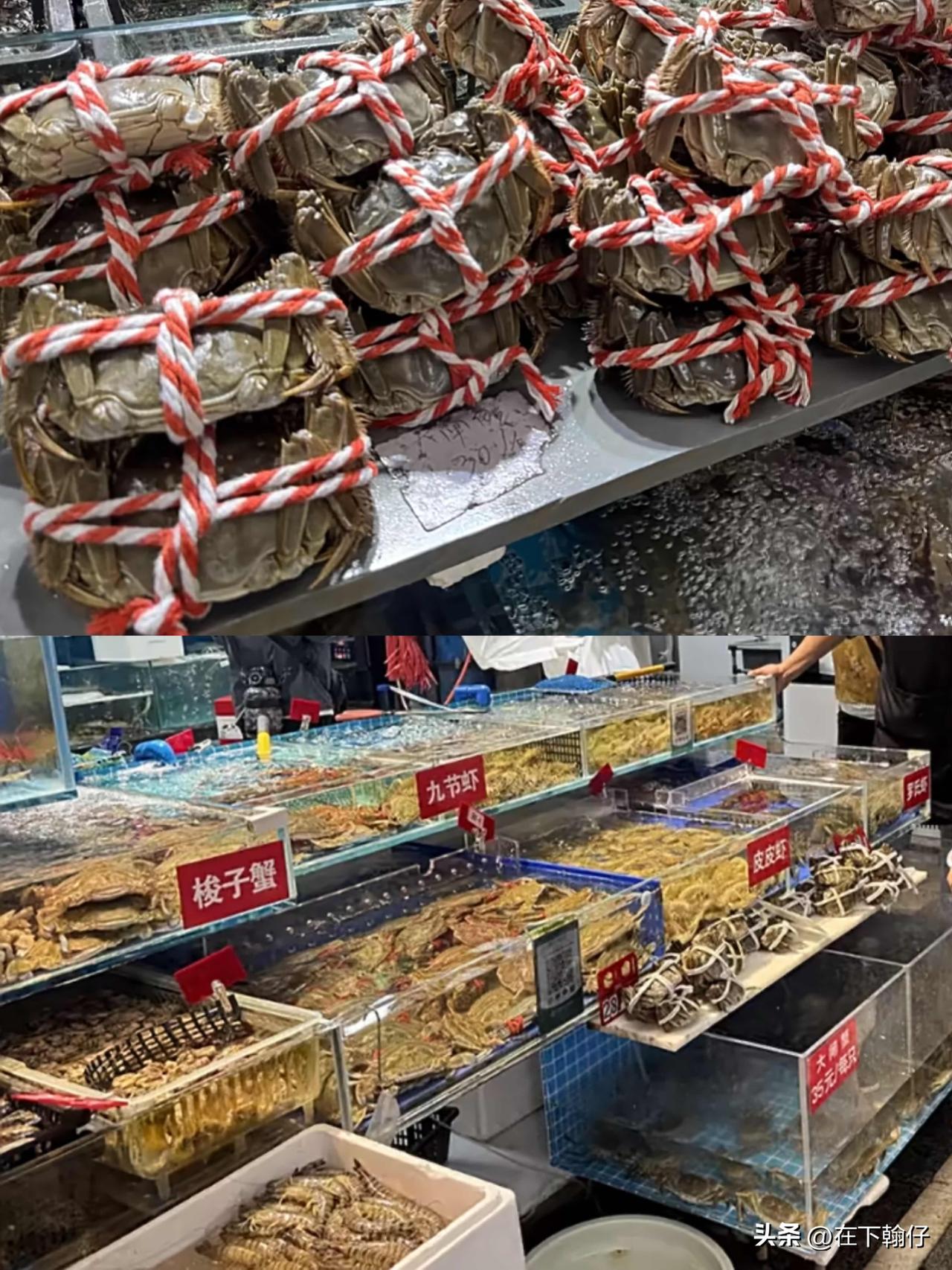 降价了！四川秋日蟹价更亲民，外地蟹扎堆入川，本地开江蟹下旬集中上市

秋风渐凉，
