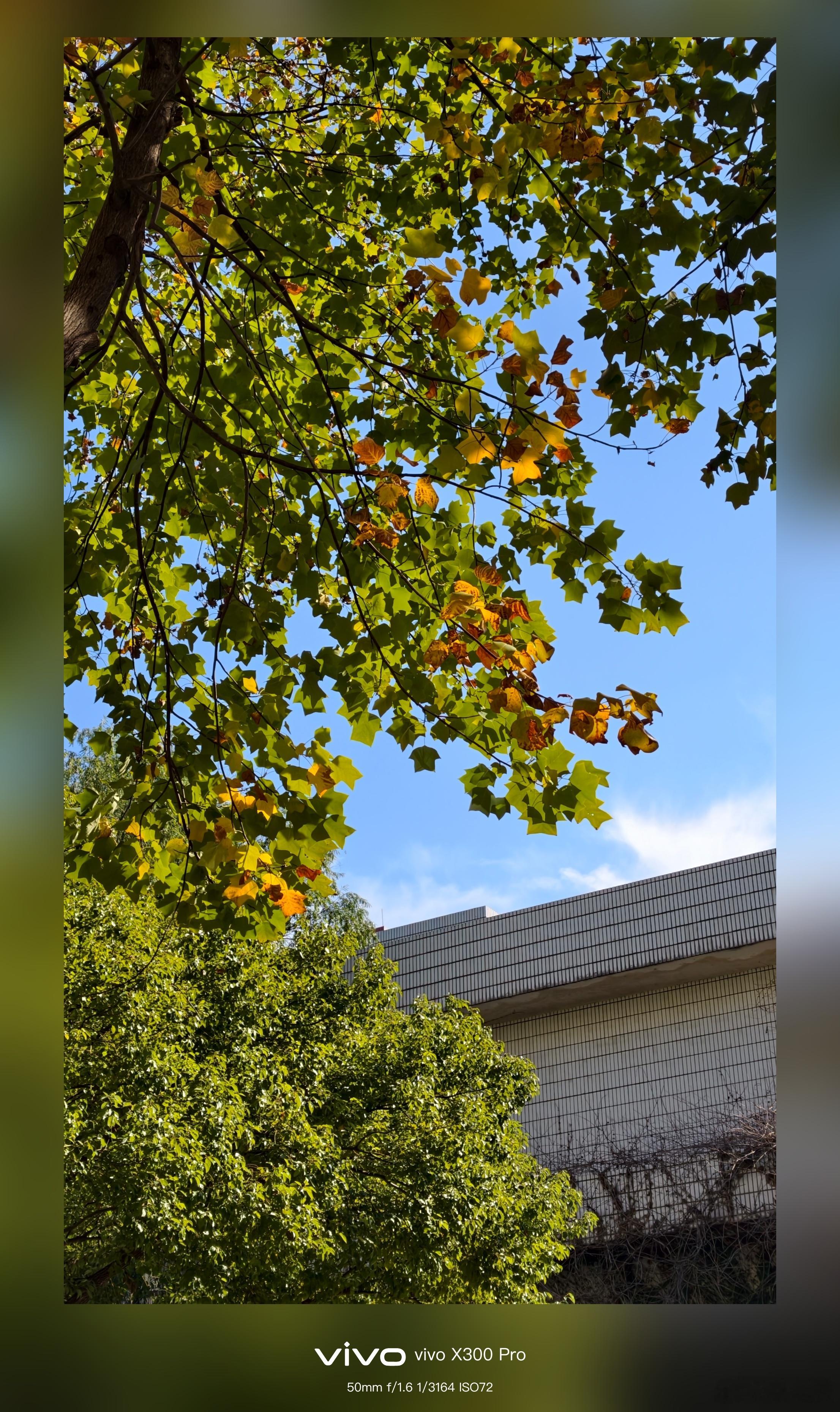 这么好的天气，真是喜上加喜