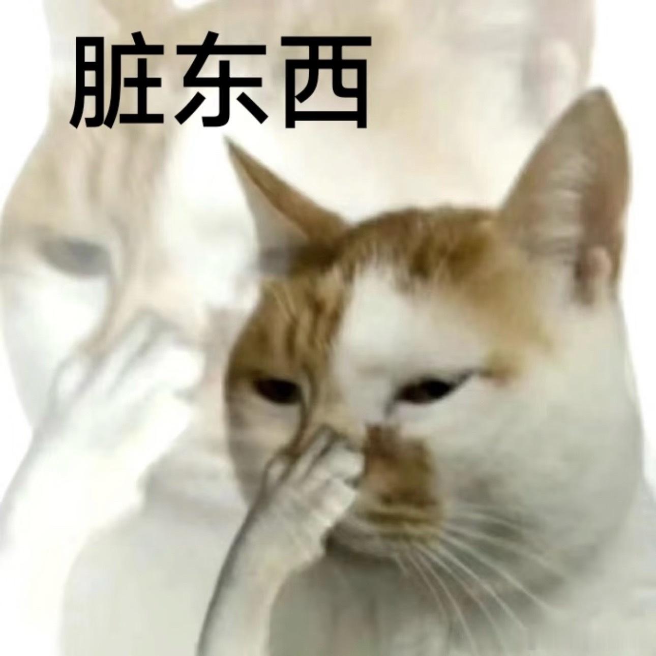 梓渝 摸鱼频道只感觉梓渝wwzz，被无良yxh缠上了。 