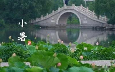 小暑至，苦夏始，这4个养生方法要牢记，养好身体，平安度夏

小暑到来，俗话讲“无