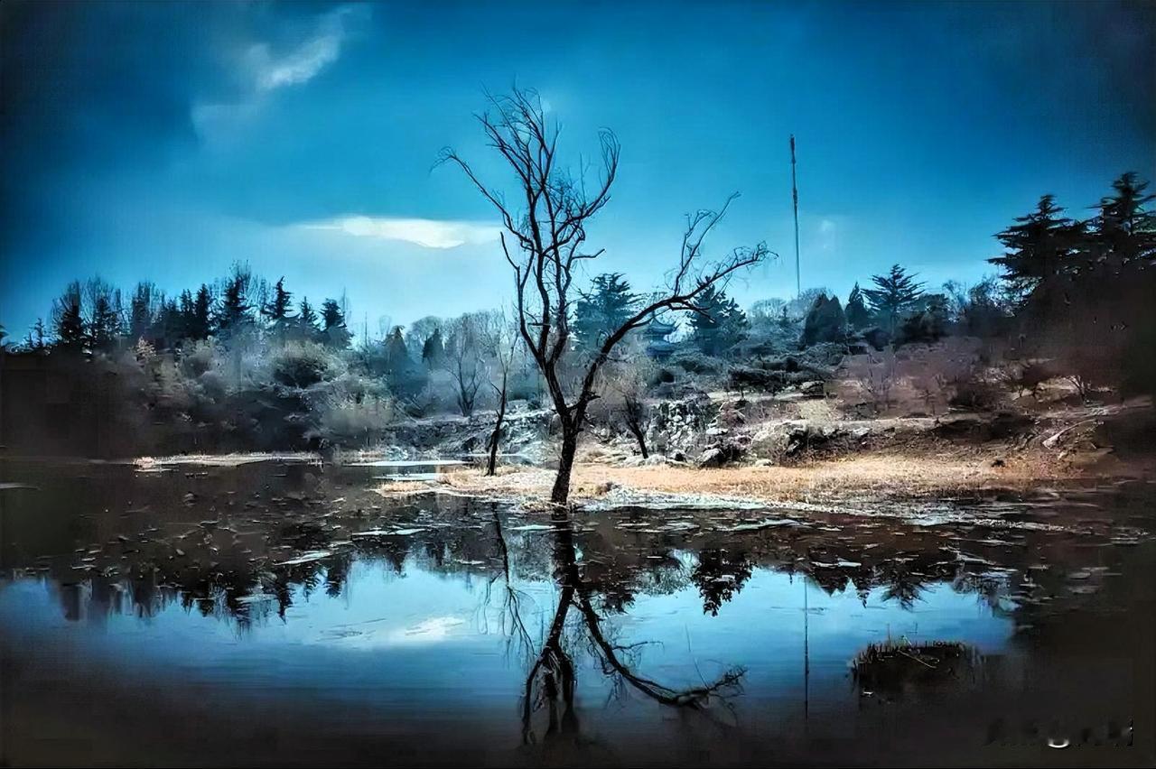 人这一辈子，到底有没有定数？
或许只有上天才知道。
在我看来，人生有定数，也有无