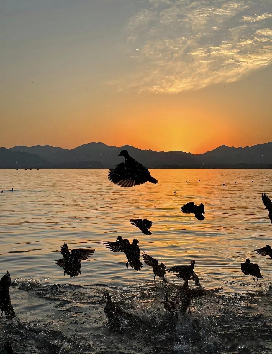 昨晚的餐桌暖融融的，白炽灯的光洒在刚蒸好的甜玉米上，泛着一层温润的黄。我正低头啃