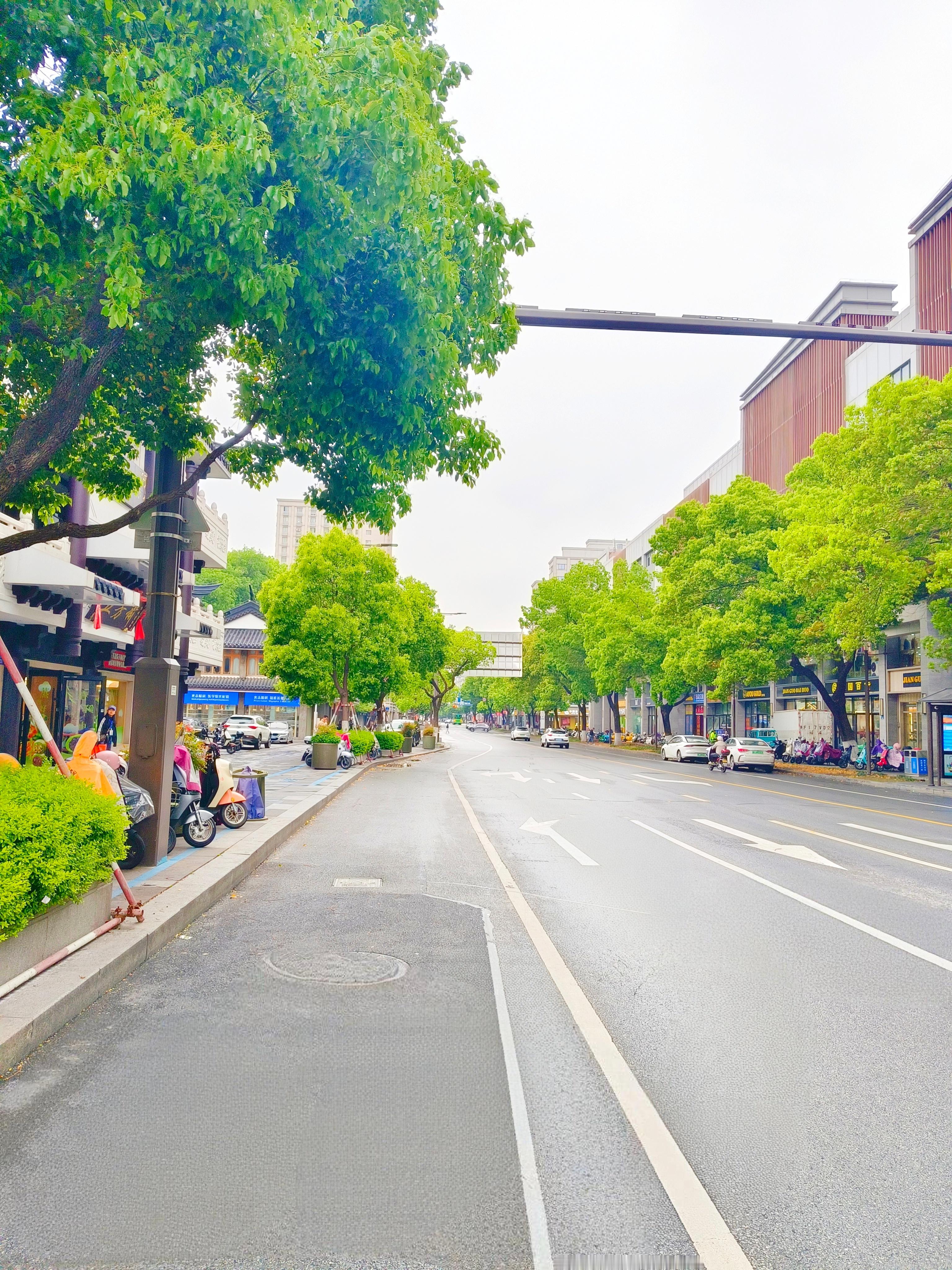 《嘉兴日记》今日雨落嘉兴，撑伞独行，踱步子城、瓶山与嘉兴美术馆三处。本是寻常一日