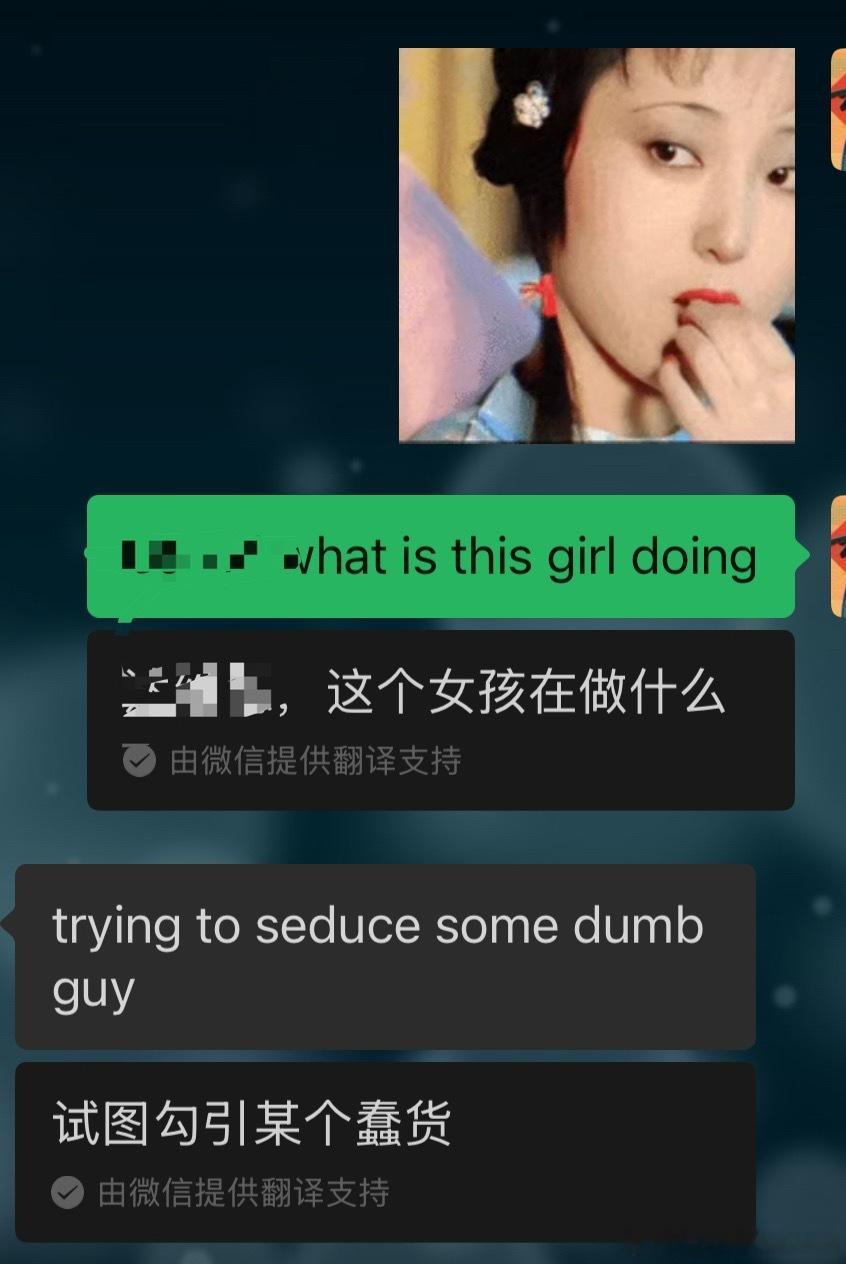 我发了林黛玉嗑瓜子翻白眼的表情包给欧洲朋友他表示不解。我说你看她干嘛呢？他说，她