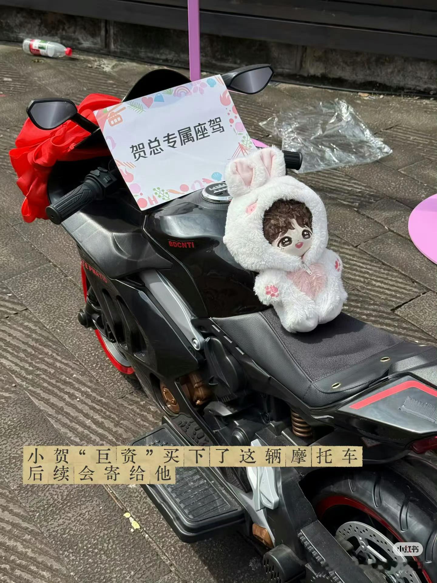 贺总的专属坐骑 