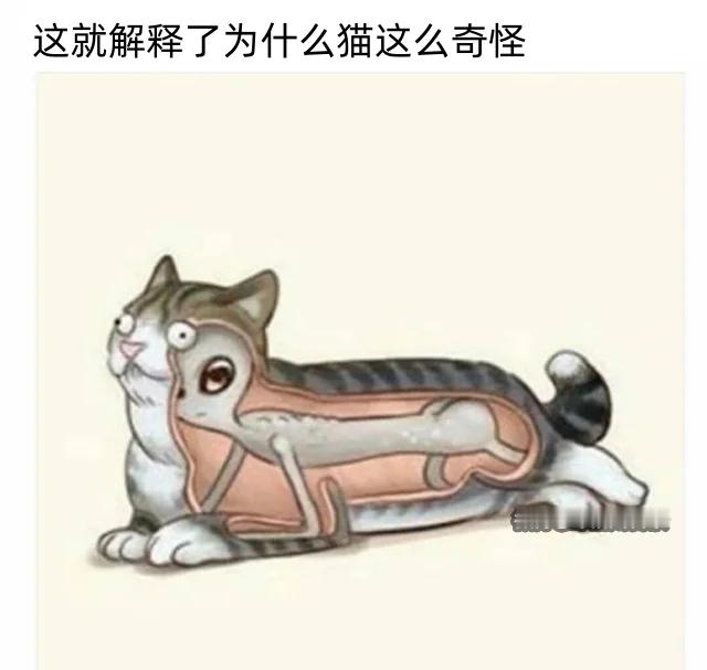 是这样 