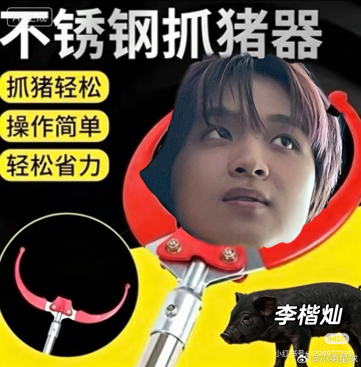 🍠 我家猪宝宝去哪了 