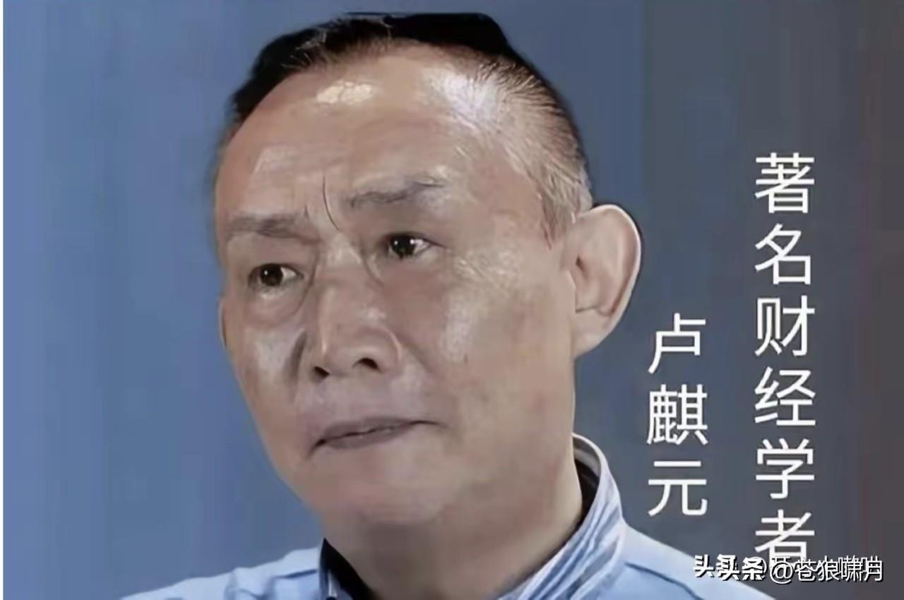 卢麒元又发声:电商平台已成为新型“大地主”！流量收租，算法监控，垄断限流，全面卡