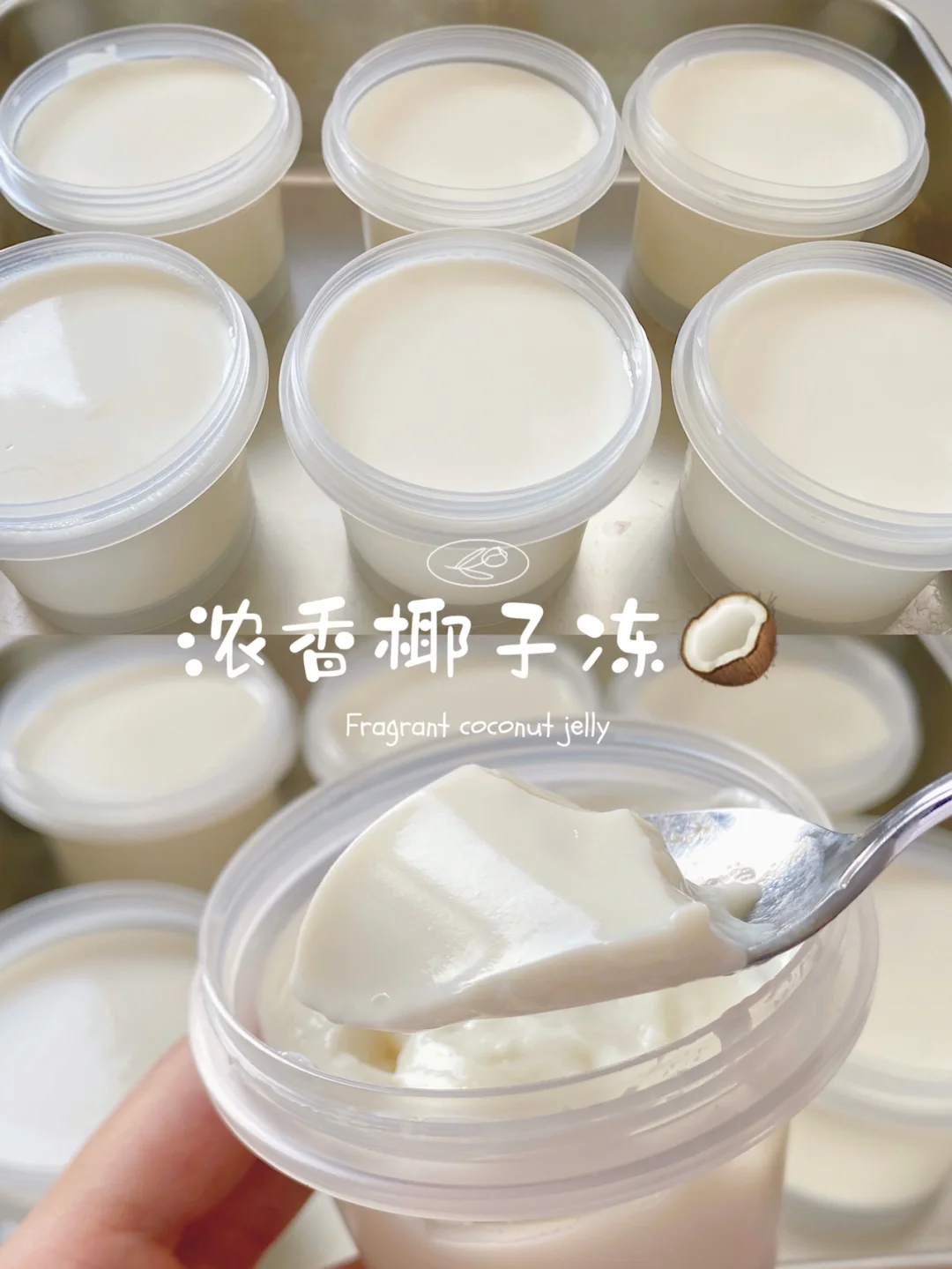 5分钟搞定❗️椰子奶冻来啦🥥超好吃，无奶油版