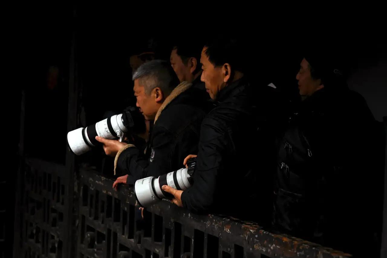 又是一年芳草绿，玉兰花开正当时。
扬州何园的玉兰花开，惊艳了整个春日的时光。
那