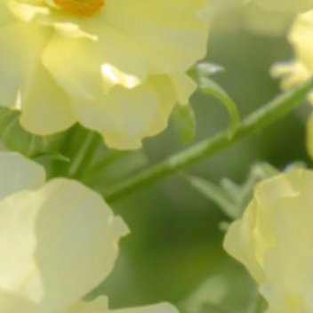 每日一善  ❤️ 每日一善  ❤️ 阳光信用 我们能做的只是要拼尽全力，即使迈出